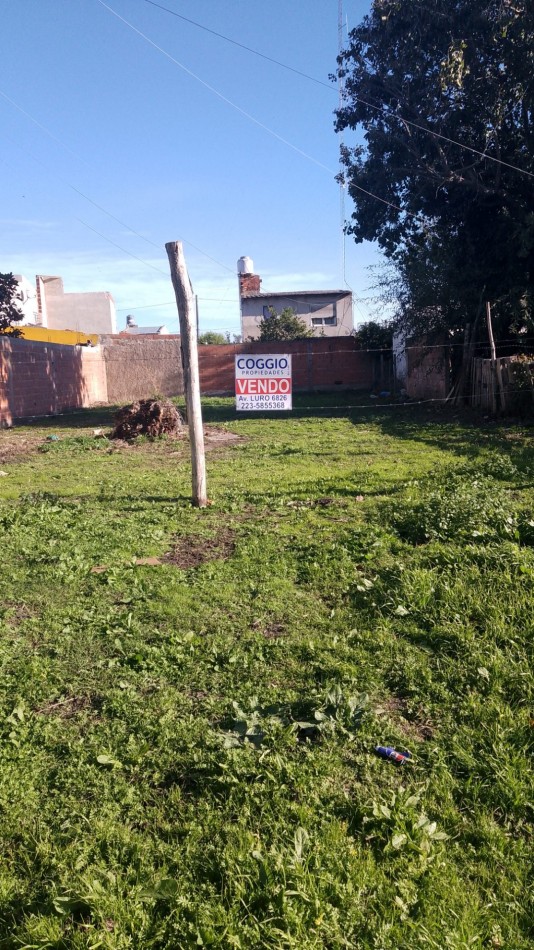 TERRENO