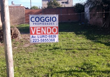 TERRENO